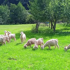 Au Mohair Des Alpy Guest house